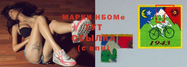 гашик Алексин