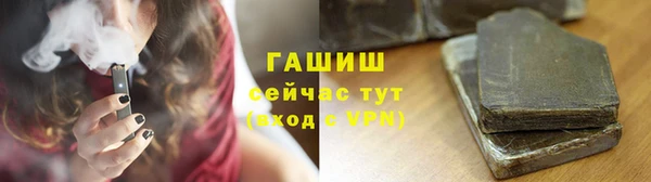 гашик Алексин