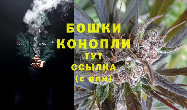 гашик Алексин