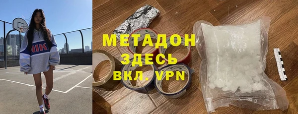 гашик Алексин