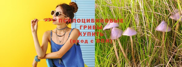 герыч Алзамай