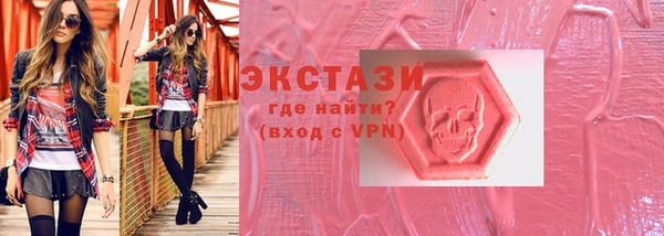 гашик Алексин