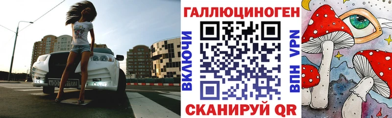 где купить   Апшеронск  Псилоцибиновые грибы GOLDEN TEACHER 